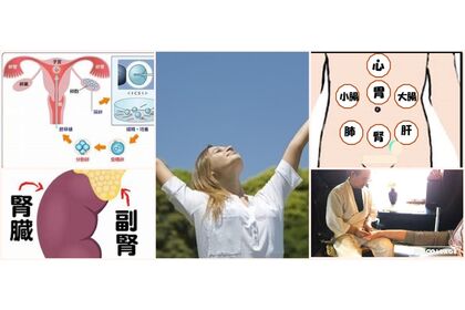 でとっくす