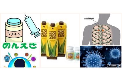 アロエ