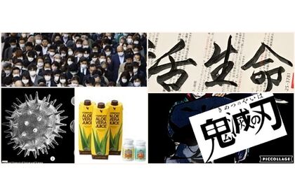 アロエ