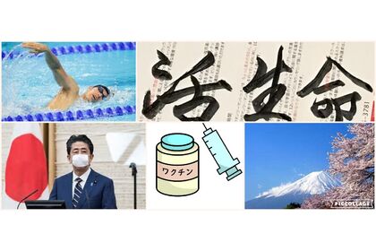 アロエ