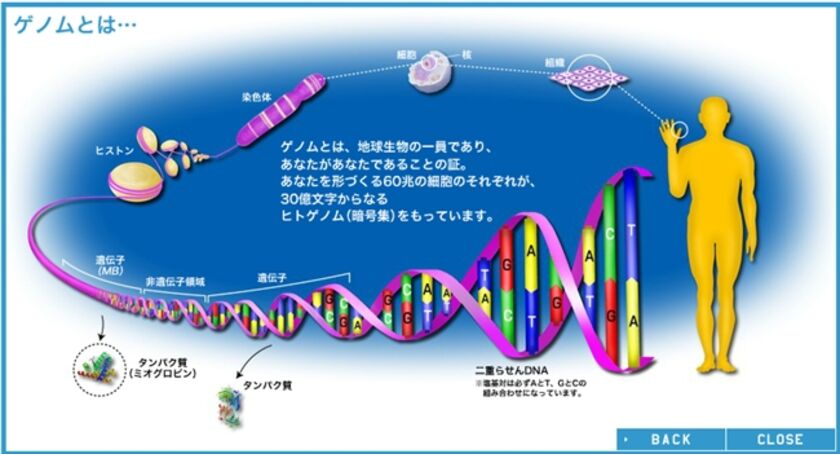 ゲノム