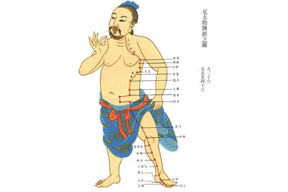 脾経