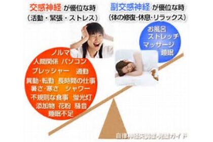 交感ー副