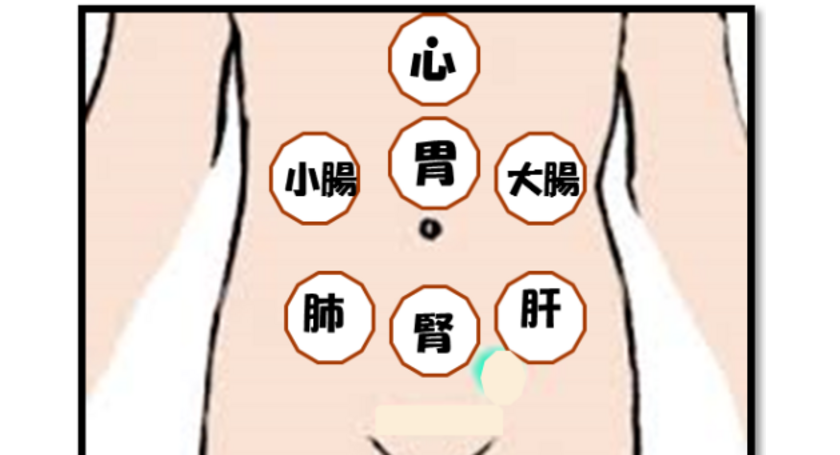 腹診