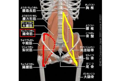 腸炎