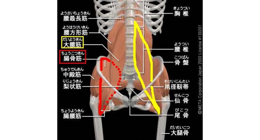 腸炎