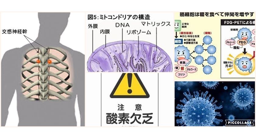 ミト