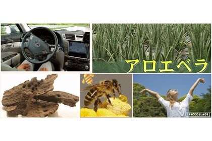 アロエ