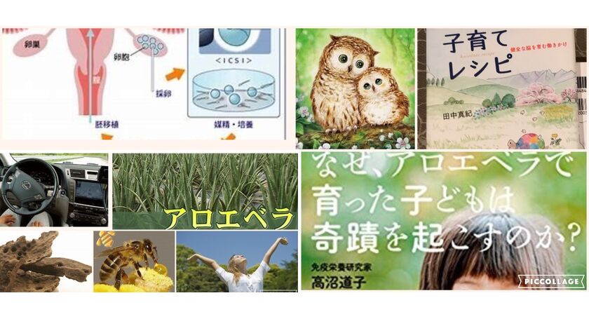 アロエ