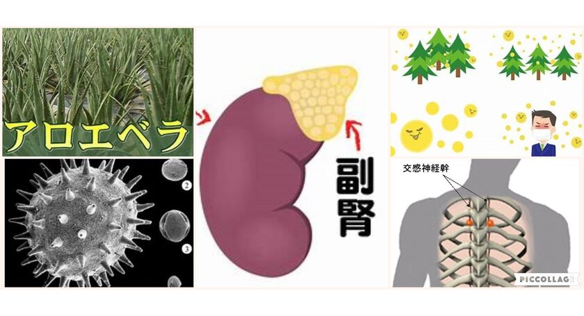 花粉