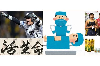 アロエ