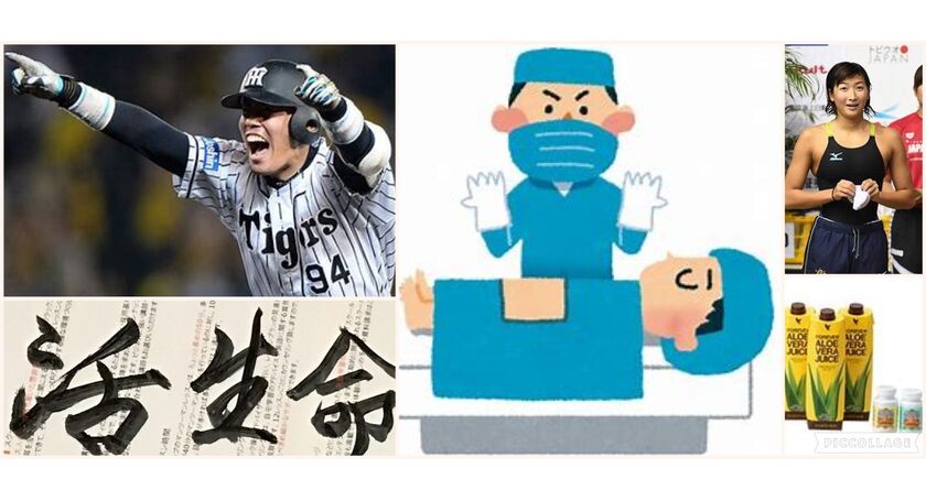 アロエ