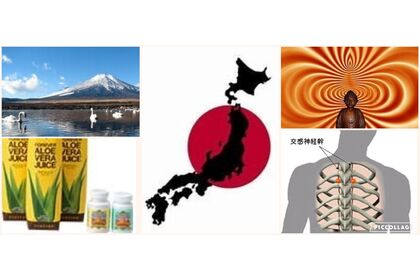アロエ