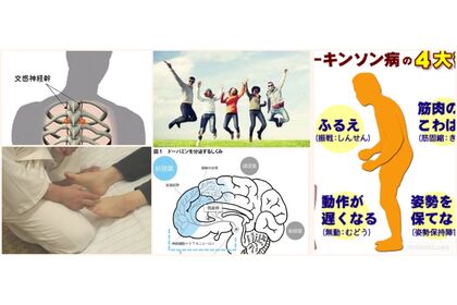 交感神経