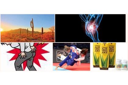 アロエ