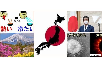 アロエ
